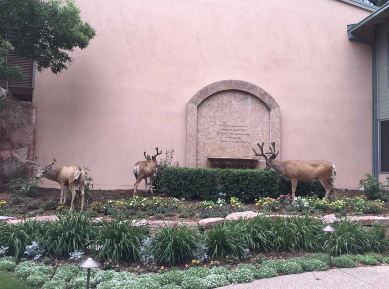 Eleanor Roosevelt With the new day comes new strength and new thoughts.