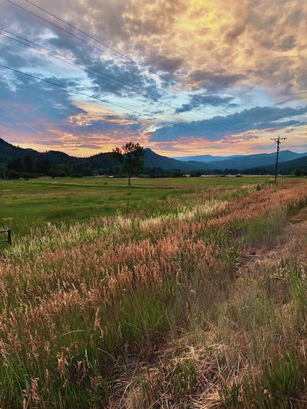 Angie Weiland-Crosby Nature shows us how to live, love, and grow alongside each other.