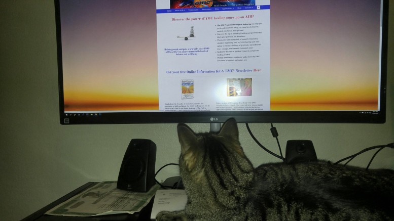 A pet learning about the AIM Program
