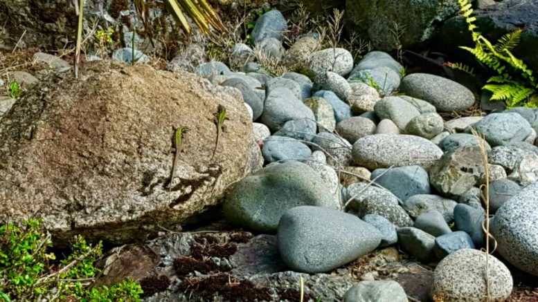 Rocks stones and pebbles in nature