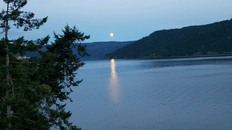 Moon over a calm and still lake